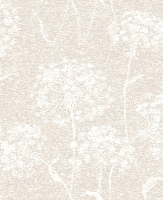 Horatio Cream Dandelion Wallpaper by Advantage Shades of Grey Covers about 56.4 square feet 20.5-in by 33-ft long roll Unpasted 12.6 - Fabric Carolina -