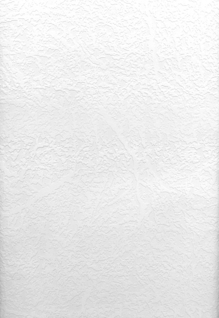 Willie Paintable Texture Wallpaper by Brewster Paintable Solutions V Covers about 56.4 square feet 20.5-in by 33-ft long roll Prepasted 25 - Fabric Carolina - Willie Paintable Texture Wallpaper by Brewster Paintable Solutions V Covers about 56.4 square feet 20.5-in by 33-ft long roll Prepasted 25 - Fabric Carolina -