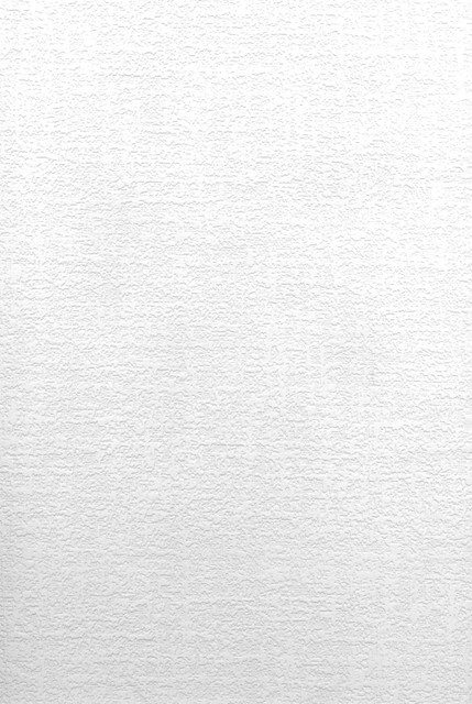 Egg Paintable Paintable Wallpaper by Brewster Paintable Solutions IV Covers about 56.4 square feet 20.5-in by 33-ft long roll Prepasted 21 - Fabric Carolina -