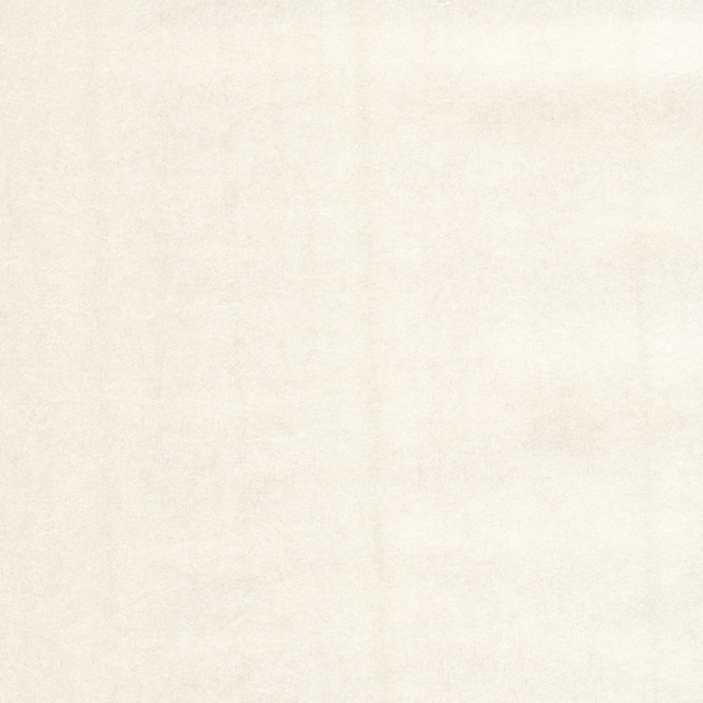 Luminosity Champagne Texture Wallpaper by Eijffinger Black & Light Covers about 56.4 square feet 20.5-in by 33-ft long roll Unpasted 0 - Fabric Carolina - Luminosity Champagne Texture Wallpaper by Eijffinger Black & Light Covers about 56.4 square feet 20.5-in by 33-ft long roll Unpasted 0 - Fabric Carolina -