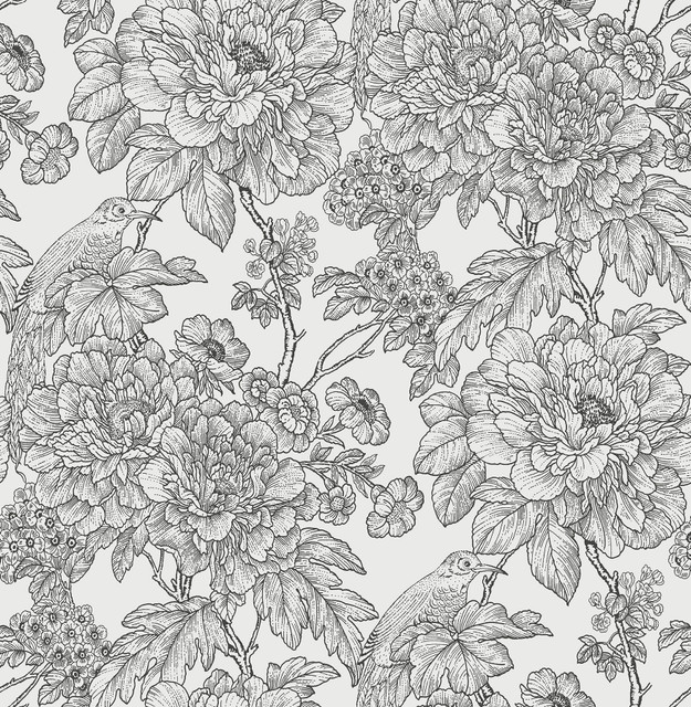 Birds of Paradise Breeze Black Floral Wallpaper by A-Street Prints Perennial Covers about 56.4 square feet 20.5-in by 33-ft long roll Unpasted 20.9 - Fabric Carolina - Birds of Paradise Breeze Black Floral Wallpaper by A-Street Prints Perennial Covers about 56.4 square feet 20.5-in by 33-ft long roll Unpasted 20.9 - Fabric Carolina -