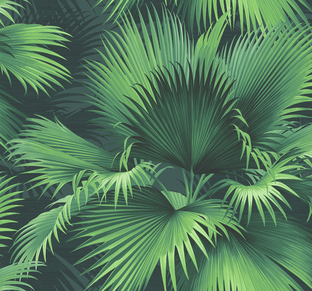 Endless Dark Green Palm Wallpaper by Kenneth James Palm Springs Covers about 60.8 square feet 27-in by 27-ft long roll Unpasted 26.25 - Fabric Carolina - Endless Dark Green Palm Wallpaper by Kenneth James Palm Springs Covers about 60.8 square feet 27-in by 27-ft long roll Unpasted 26.25 - Fabric Carolina -