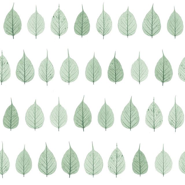 Greenhouse Green Leaves Wallpaper by ESTA Home Design Department Covers about 56.4 square feet 20.5-in by 33-ft long roll Unpasted 20.9 - Fabric Carolina - Greenhouse Green Leaves Wallpaper by ESTA Home Design Department Covers about 56.4 square feet 20.5-in by 33-ft long roll Unpasted 20.9 - Fabric Carolina -
