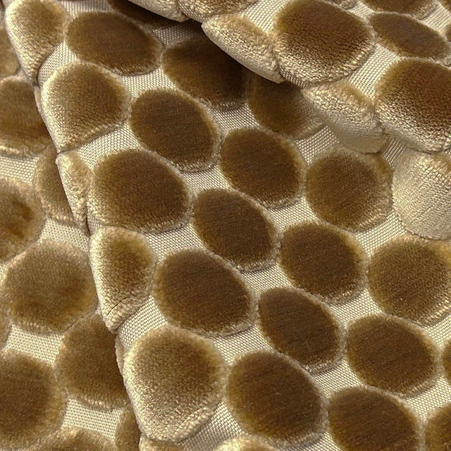 Trodo Coin by Magnolia Fabric - 100% Polyester India 30000 Horizontal: 1.5 and Vertical: 1.75 54 - Fabric Carolina -