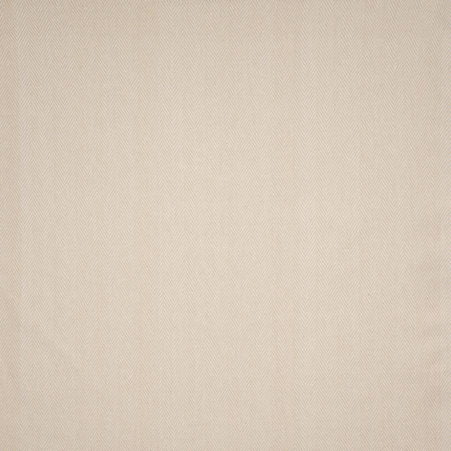 Alberta # 640 Oatmeal by Maxwell Fabric Color Theory-Vol.Viii Tigerseye 100% COTTON INDIA 54" - Fabric Carolina -