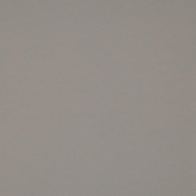 Trailrider # 115 Pebble by Maxwell Fabric Trailrider FACE: 100% POLYURETHANE (POLYCARBONATE)
BACKING: 100% POLYESTER CHINA 54" - Fabric Carolina -