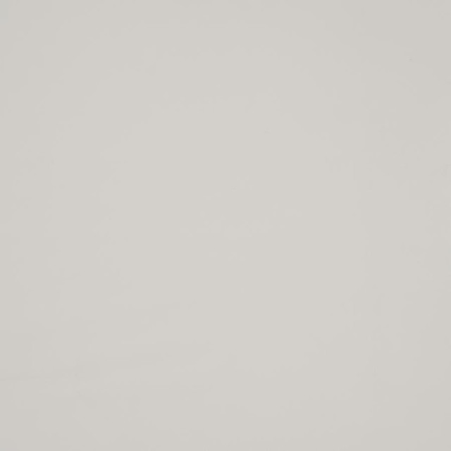 Trailrider # 117 White by Maxwell Fabric Trailrider FACE: 100% POLYURETHANE (POLYCARBONATE)
BACKING: 100% POLYESTER CHINA 54" - Fabric Carolina -