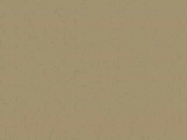 Ebbtide Latte 199 by Norbar Fabric ALPINE 100% RECYCLED POLYESTER INDIA 55 - Fabric Carolina - Ebbtide Latte 199 by Norbar Fabric ALPINE 100% RECYCLED POLYESTER INDIA 55 - Fabric Carolina -