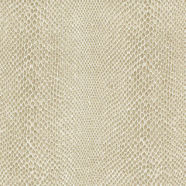 Expo Vanilla by Norbar Fabric EUPHORIA 100% POLYURETHANE S. KOREA 3 1/2"H 54 - Fabric Carolina - Expo Vanilla by Norbar Fabric EUPHORIA 100% POLYURETHANE S. KOREA 3 1/2"H 54 - Fabric Carolina -