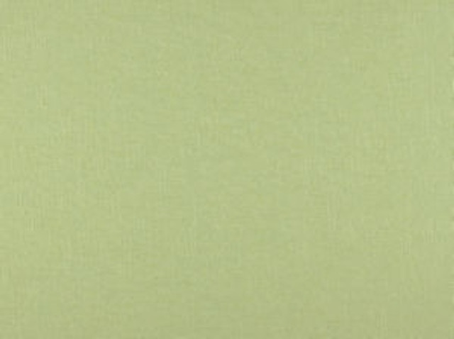 Jive Aloe 203 by Norbar Fabric JIVE 55% LINEN 45% VISCOSE CHINA 54 - Fabric Carolina - Jive Aloe 203 by Norbar Fabric JIVE 55% LINEN 45% VISCOSE CHINA 54 - Fabric Carolina -