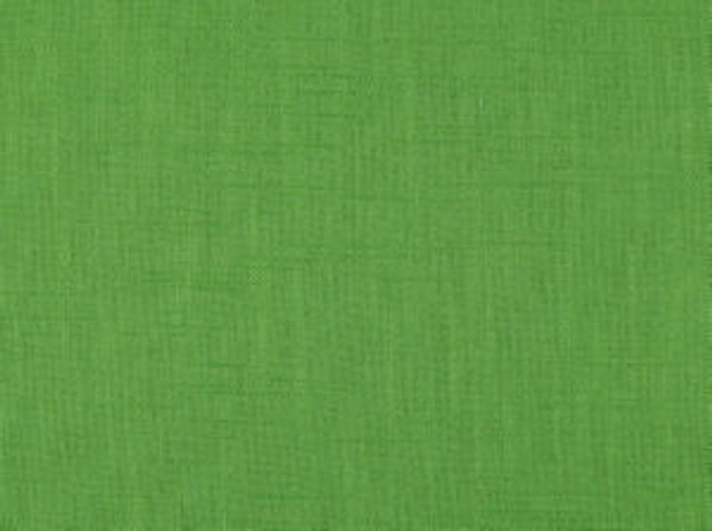 Jive Leaf 280 by Norbar Fabric JIVE 55% LINEN 45% VISCOSE CHINA 54 - Fabric Carolina - Jive Leaf 280 by Norbar Fabric JIVE 55% LINEN 45% VISCOSE CHINA 54 - Fabric Carolina -
