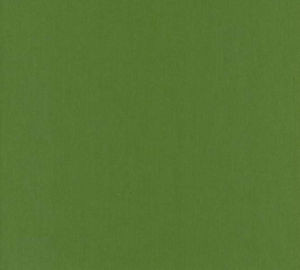 Luxor Kelly by Norbar Fabric LUXOR 100% COMBED COTTON INDIA 54 - Fabric Carolina -