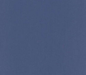 Luxor Royal by Norbar Fabric LUXOR 100% COMBED COTTON INDIA 54 - Fabric Carolina -