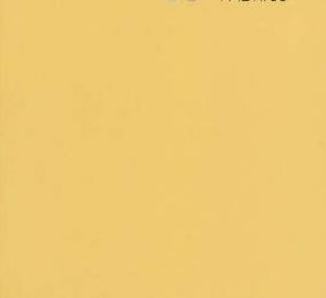 Luxor Straw by Norbar Fabric LUXOR 100% COMBED COTTON INDIA 54 - Fabric Carolina -