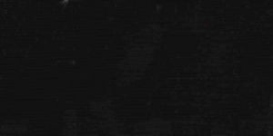 Okin Black by Norbar Fabric OKIN 100% POLYESTER INDIA 54 - Fabric Carolina -