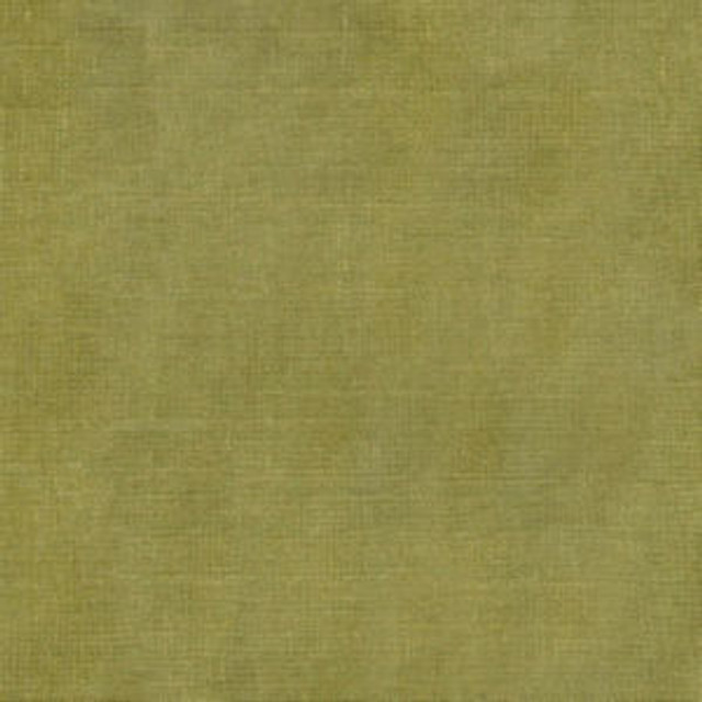 Rave Cactus by Norbar Fabric OKIN 100% POLYESTER INDIA 54 - Fabric Carolina - Rave Cactus by Norbar Fabric OKIN 100% POLYESTER INDIA 54 - Fabric Carolina -