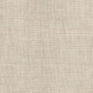 Rave Natural by Norbar Fabric OKIN 100% POLYESTER INDIA 54 - Fabric Carolina -