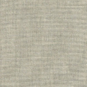 Rave Silver by Norbar Fabric OKIN 100% POLYESTER INDIA 54 - Fabric Carolina -