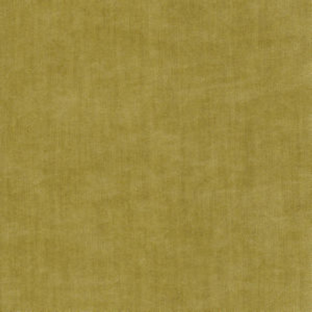Jansen Chartreuse 212 by Norbar Fabric PASEO 100% POLYESTER CHINA 54" - Fabric Carolina - Jansen Chartreuse 212 by Norbar Fabric PASEO 100% POLYESTER CHINA 54" - Fabric Carolina -
