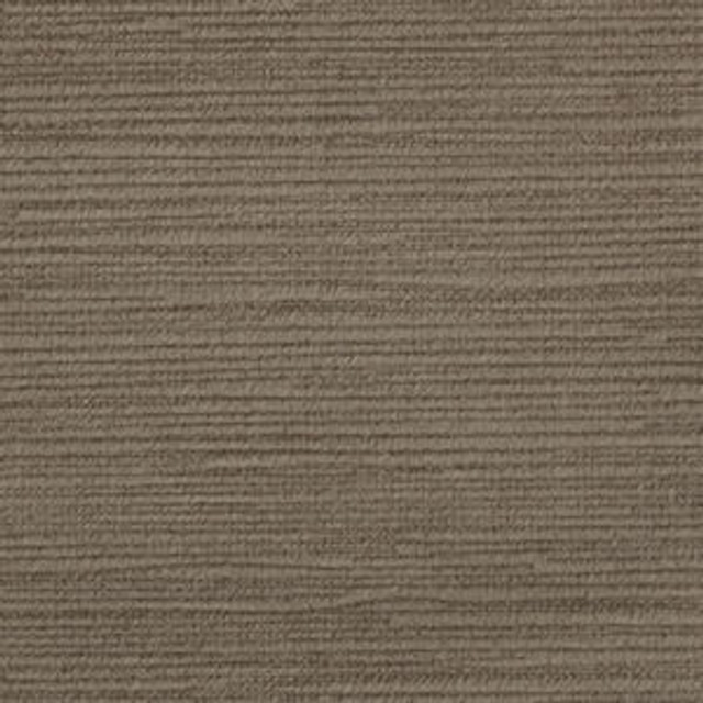 Venice Putty 88 by Norbar Fabric VENICE 65% POLYESTER 35% COTTON SPAIN 54 - Fabric Carolina -