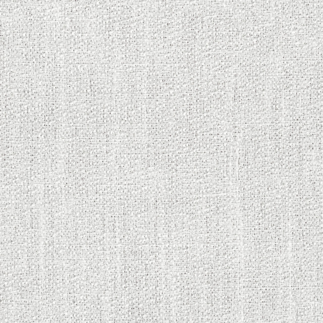 Caleb Sheer White 472360 by PK Lifestyles Fabric Portiere VI 71% Polyester, 29% Cotton India N/A H: N/A, V: N/A 118 - Fabric Carolina - Caleb Sheer White 472360 by PK Lifestyles Fabric Portiere VI 71% Polyester, 29% Cotton India N/A H: N/A, V: N/A 118 - Fabric Carolina -