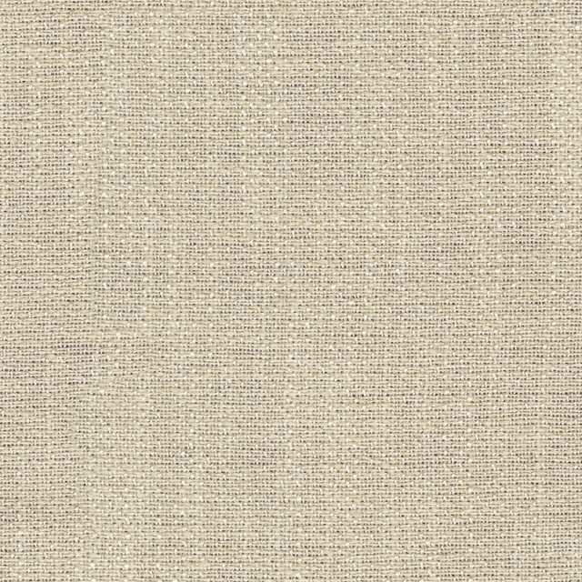 Zachary Sheer Champagne 472452 by PK Lifestyles Fabric Portiere VI 100% Polyester India N/A H: N/A, V: N/A 118 - Fabric Carolina - Zachary Sheer Champagne 472452 by PK Lifestyles Fabric Portiere VI 100% Polyester India N/A H: N/A, V: N/A 118 - Fabric Carolina -