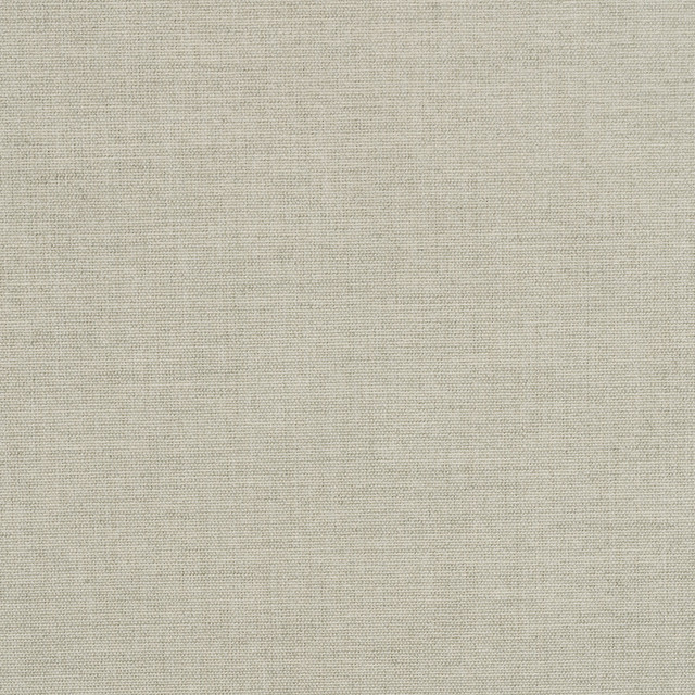 Play Sage 40616-0007 by Sunbrella Fabric 98.3% Sunbrella® Acrylic, 1.7% Sunbrella® Polyester 30000 Horizontal: and Vertical: 54 in. - Fabric Carolina -