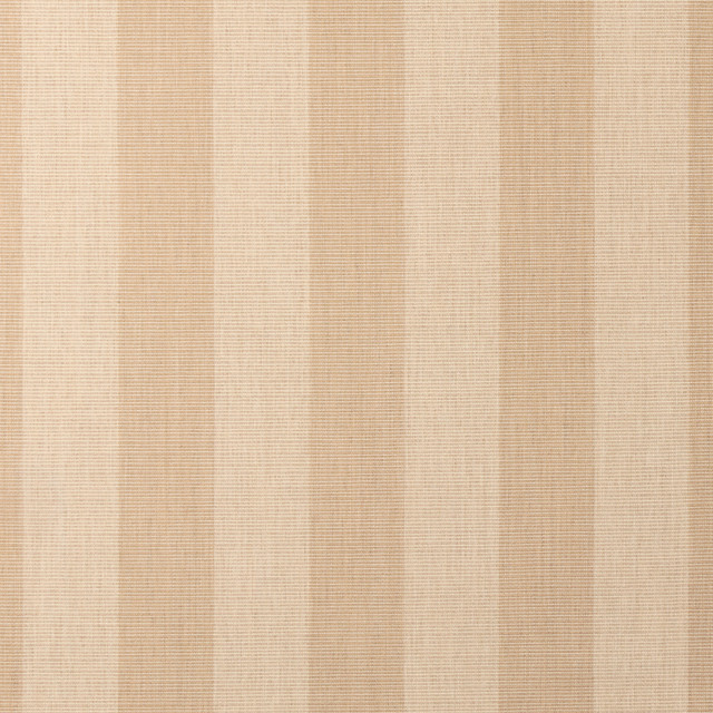 Expressive Sparrow 14121-0000 by Sunbrella Fabric 100% Sunbrella® Acrylic 95000 Horizontal: 3.48 in. and Vertical: 54 in. - Fabric Carolina -