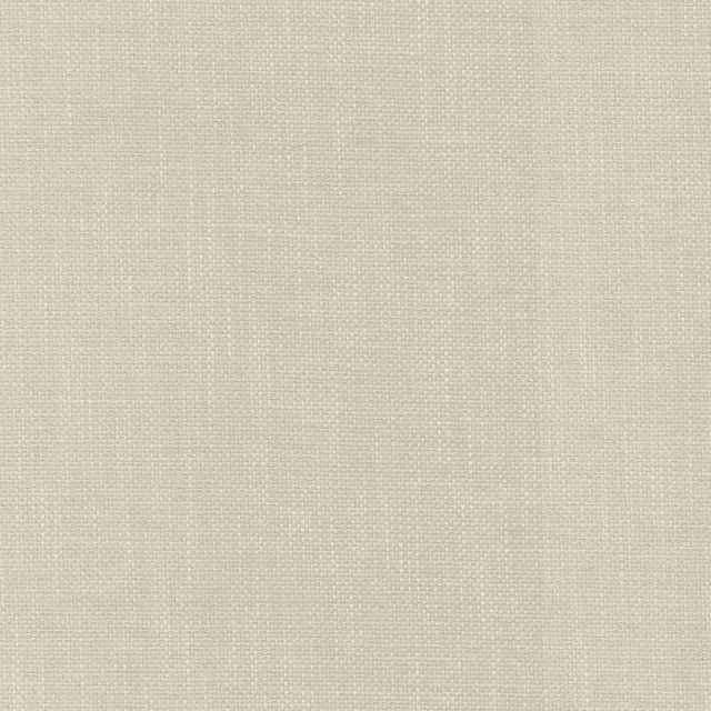 Dominica Sea Salt by RM CoCo Fabric Island Breeze II InsideOut Performance 100% UV Polyester See Sample 51000 Horizontal: 0.19 and Vertical: 0.19 56 - Fabric Carolina -
