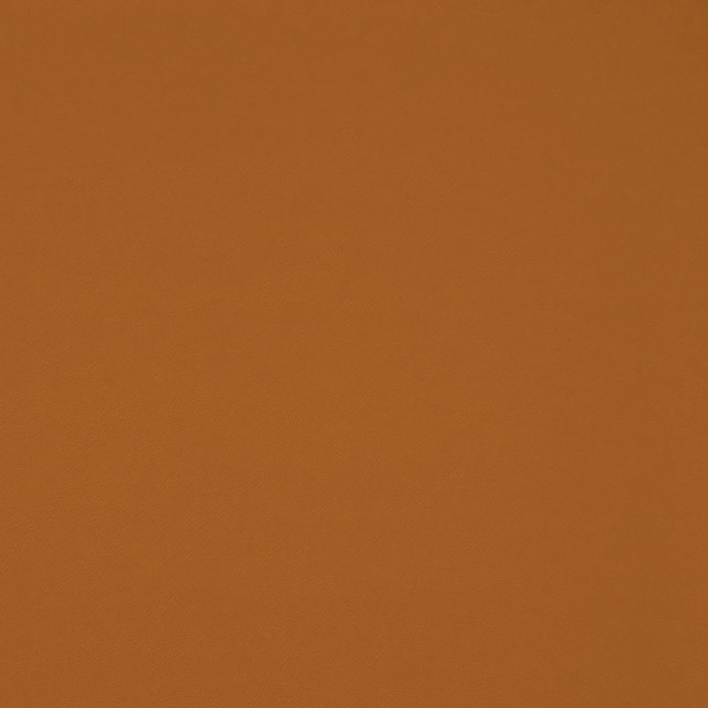 Chaparral Performance FR Faux-Leather Butterscotch by RM CoCo Fabric Chaparral Performance FR Faux Leather 100% PVC (Phthalate free/heavy metals free) See Sample 100000 Horizontal: 0 and Vertical: 0 55 - Fabric Carolina - Chaparral Performance FR Faux-Leather Butterscotch by RM CoCo Fabric Chaparral Performance FR Faux Leather 100% PVC (Phthalate free/heavy metals free) See Sample 100000 Horizontal: 0 and Vertical: 0 55 - Fabric Carolina -
