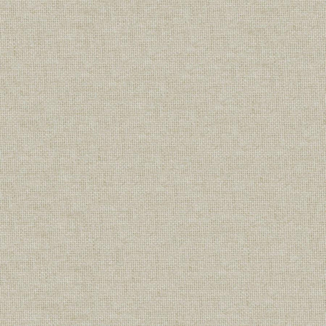 Valentina # 159 Pampas by Maxwell Fabric Wide Width Basics Iii 100% RECYCLED POLYESTER INDIA 118" - Fabric Carolina -