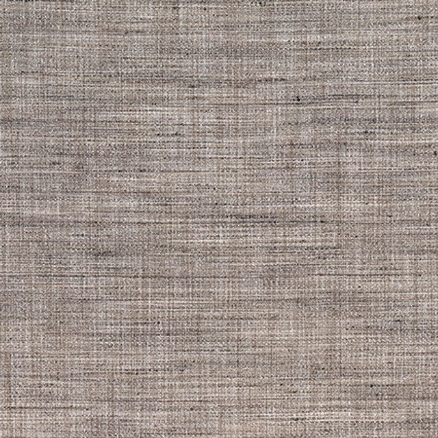 Prodigy Driftwood by Carole Fabric Best Dressed 100% Polyester 30,000 Wyzenbeek Double Rubs None 55" - Fabric Carolina -