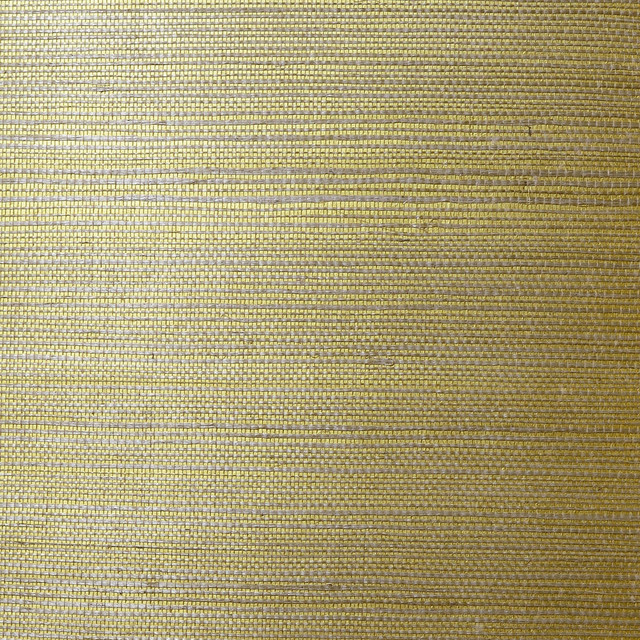 Sisal Grasscloth Metallic Gold and Aloe by Seabrook Wallpaper Luxe Retreat China 72 0" 36" - Fabric Carolina -