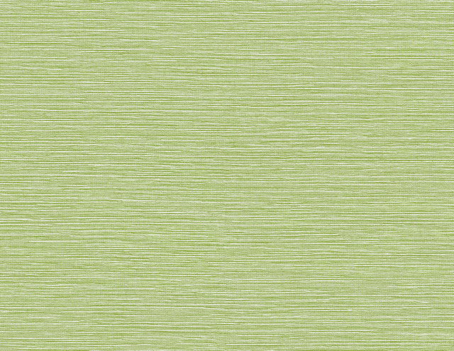 Tiger Island Faux Sisal Meadow by Seabrook Wallpaper Coastal Haven United States 60.75 0" 27" - Fabric Carolina -