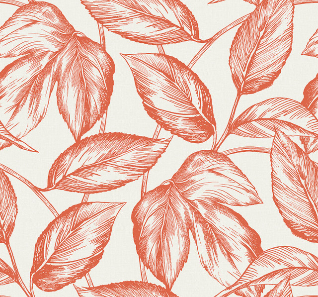 Beckett Sketched Leaves Rich Coral by Seabrook Wallpaper Summer House United States 60.75 25.2" 27" - Fabric Carolina -