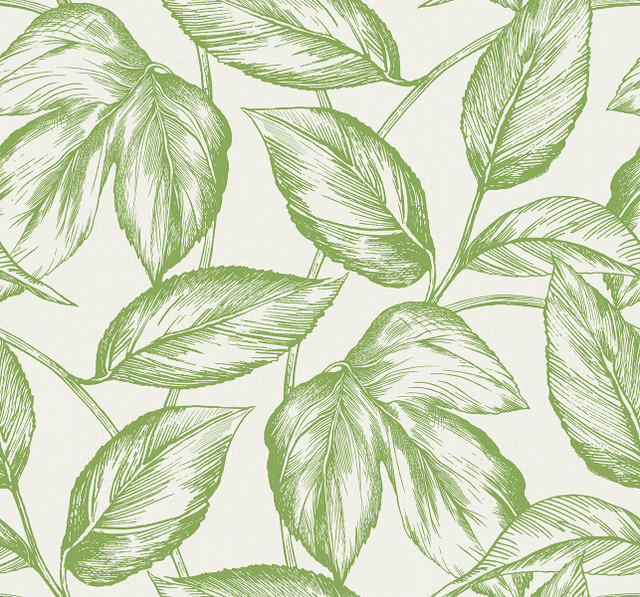 Beckett Sketched Leaves Apple Green by Seabrook Wallpaper Summer House United States 60.75 25.2" 27" - Fabric Carolina -