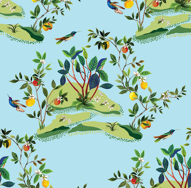Citrus Hummingbird Sky Blue by Seabrook Wallpaper West Boulevard Collection United States 60.75 27" 27" - Fabric Carolina -