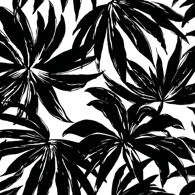 Palma Black by Seabrook Wallpaper West Boulevard Collection United States 56 20.87" 20.5" - Fabric Carolina -