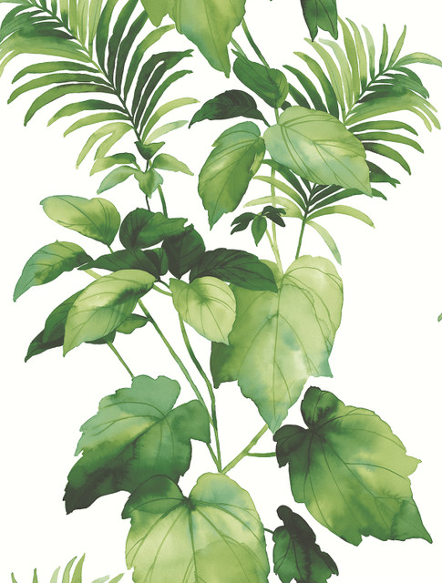 Leaf Stripe Summer Fern by Seabrook Wallpaper Harry & Grace Peel and Stick United States 30.75 27" 20.5" - Fabric Carolina -