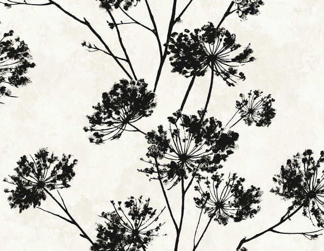 Dandelion Floral Ebony by Seabrook Wallpaper Harry & Grace Peel and Stick United States 40.5 20.87" 27" - Fabric Carolina -
