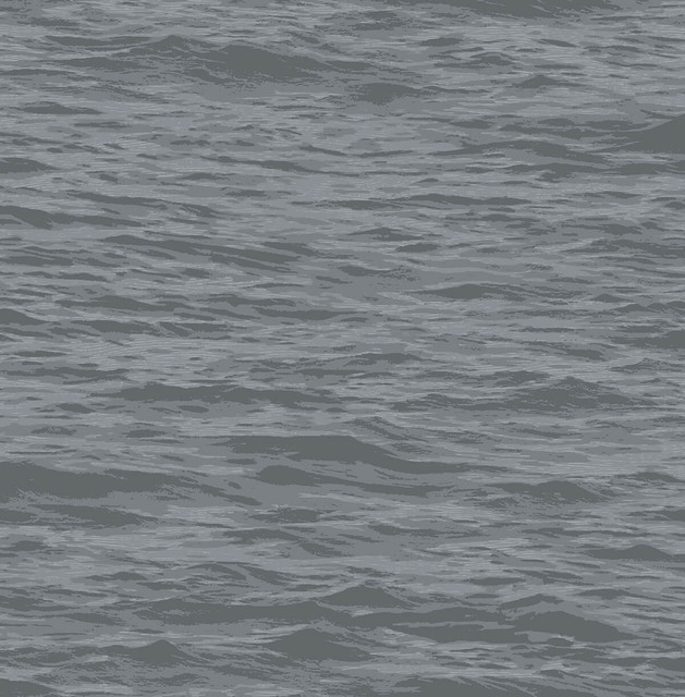 Serene Sea Cove Gray by Seabrook Wallpaper NextWall Peel & Stick United States 30.75 20.87" 20.5" - Fabric Carolina -