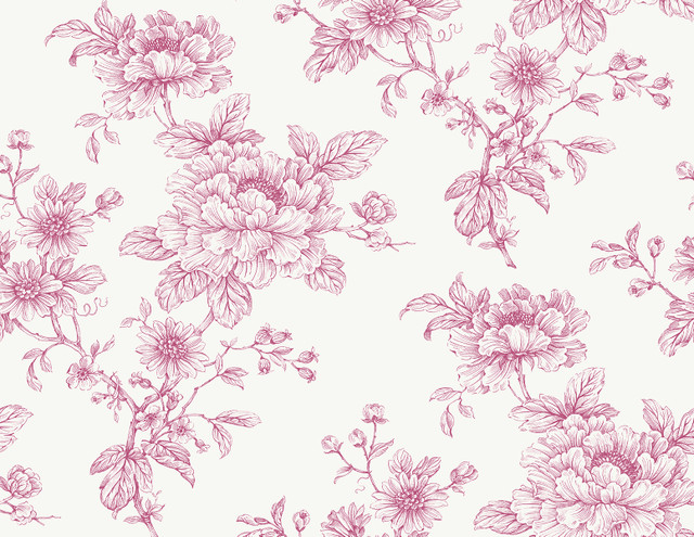 Sketched Floral Pink by Seabrook Wallpaper NextWall Peel & Stick United States 40.5 20.87" 27" - Fabric Carolina -