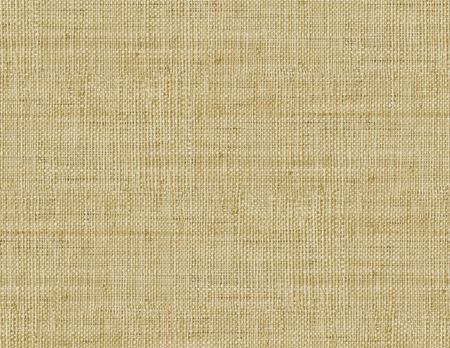 Wild Bind Honey by Seabrook Wallpaper Raffia United States 60.75 20.87" 27" - Fabric Carolina -