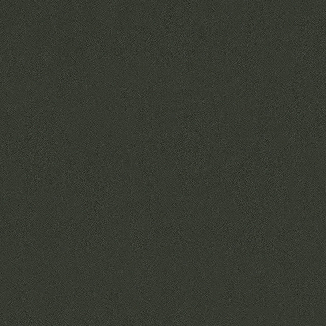 Sentinel Graphite by Magnolia Designer Fabric Required Minimum Quantity Purchase: 2 yards Content: 100% PVC Origin: CHINA Performance: 1,500,000 WB Repeat: Horizontal: 0 and Vertical: 0 Width: 55" Uses: Contract, Upholstery