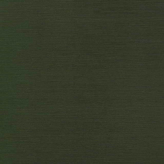 Taluk Sisal Wide Width Olive TWW34044 by Thibaut Wallpaper Thibaut Wallpaper Taluk Sisal Wide Width Olive TWW34044Wallpaper TEXTURE RESOURCE 9 Embossed Vinyl on Non Woven UNITED STATES </p><p>Repeat: H: , V: 54 - Fabric Carolina -