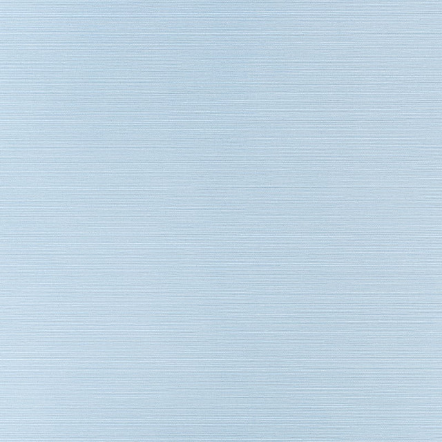 Taluk Sisal Sky Blue T34036 by Thibaut Wallpaper Thibaut Wallpaper Taluk Sisal Sky Blue T34036Wallpaper TEXTURE RESOURCE 9 Embossed Vinyl on Non Woven UNITED STATES </p><p>Repeat: H: , V: 27 - Fabric Carolina -
