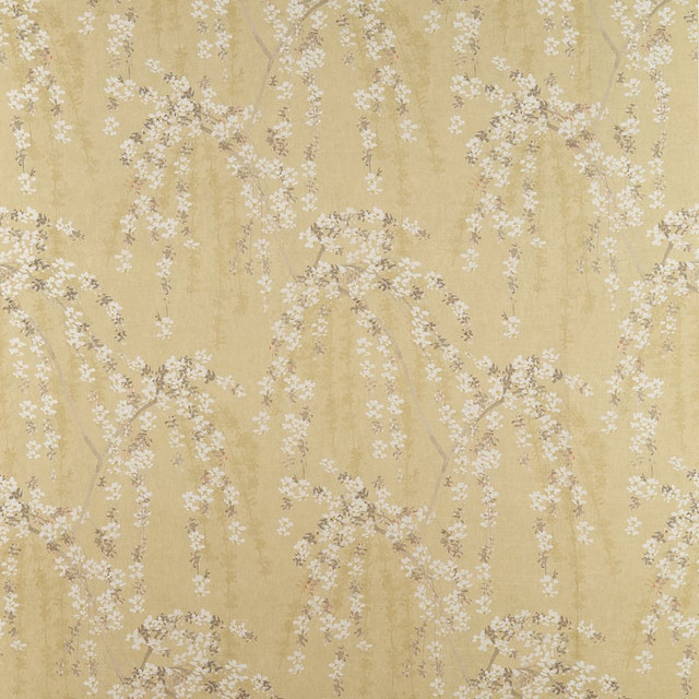 Weeping Blossom Gold F924455 by Thibaut Fabric Thibaut Fabric Weeping Blossom Gold F924455Fabric YUTORI FABRIC BOOK 100% Cotton UNITED KINGDOM </p><p>Repeat: H: 27, V: 63 54 - Fabric Carolina -