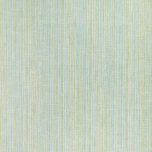 Jasper Whirlpool W711134 by Thibaut Fabric Thibaut Fabric Jasper Whirlpool W711134Fabric ACADIA 100% Polyester (UV) UNITED STATES </p><p>Repeat: H: , V: 54 - Fabric Carolina -