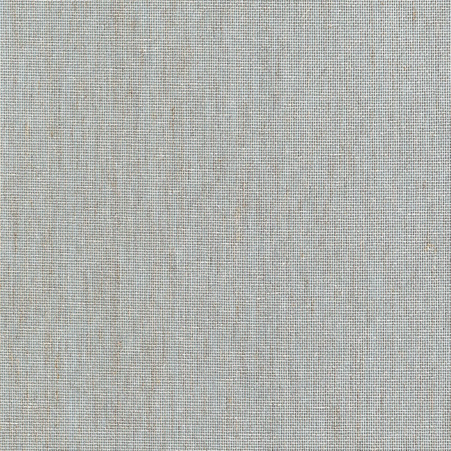 Lake Shore Mineral T10322 by Thibaut Wallpaper Thibaut Wallpaper Lake Shore Mineral T10322Wallpaper GRASSCLOTH RESOURCE 7 Linen on Non Woven KOREA, REPUBLIC OF </p><p>Repeat: H: , V: 36 - Fabric Carolina -