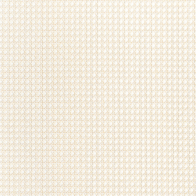 Paper Rattan White T10388 by Thibaut Wallpaper Thibaut Wallpaper Paper Rattan White T10388Wallpaper GRASSCLOTH RESOURCE 7 Paper on Non Woven KOREA, REPUBLIC OF </p><p>Repeat: H: , V: 36 - Fabric Carolina -